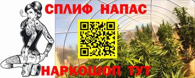 mdma Краснознаменск