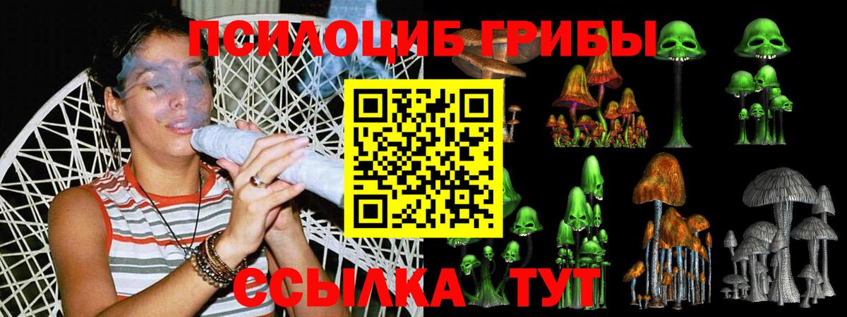 Галлюциногенные грибы Cubensis Кимовск