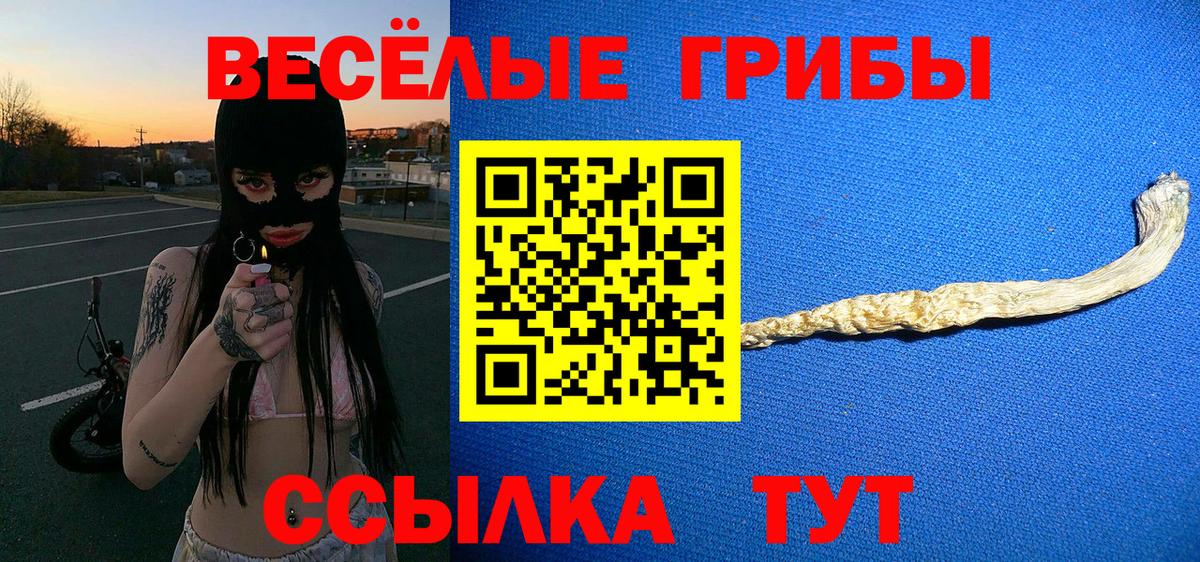 как найти наркотики  Псилоцибиновые грибы мухоморы  Псилоцибиновые грибы прущие грибы  Вход с VPN  Кимовск 